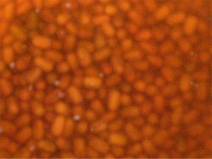 080227_01.jpg